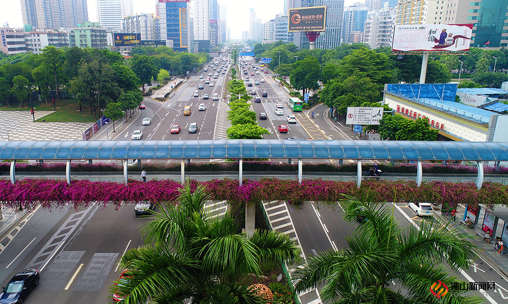 季华四路